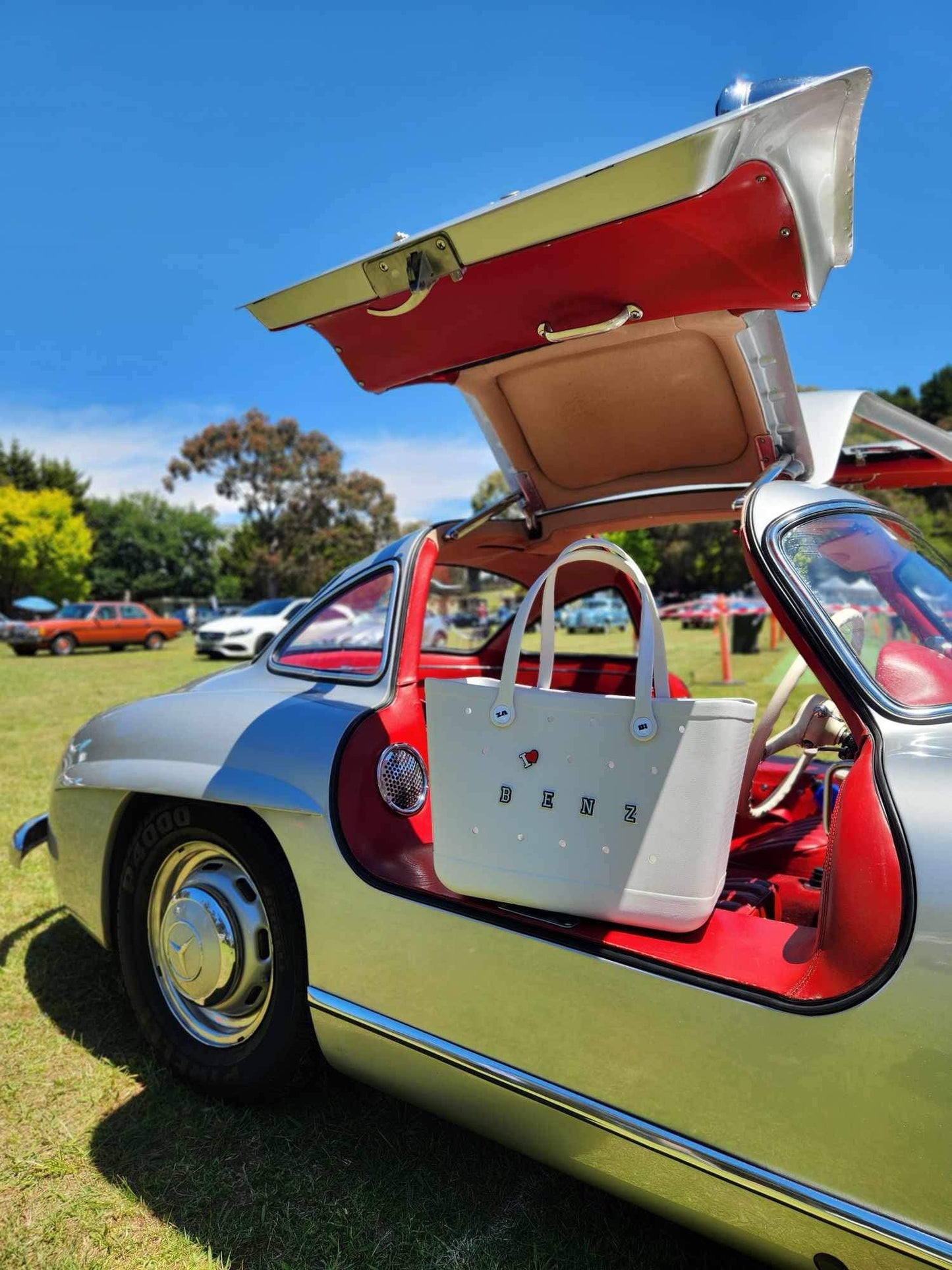 BB Classic bone